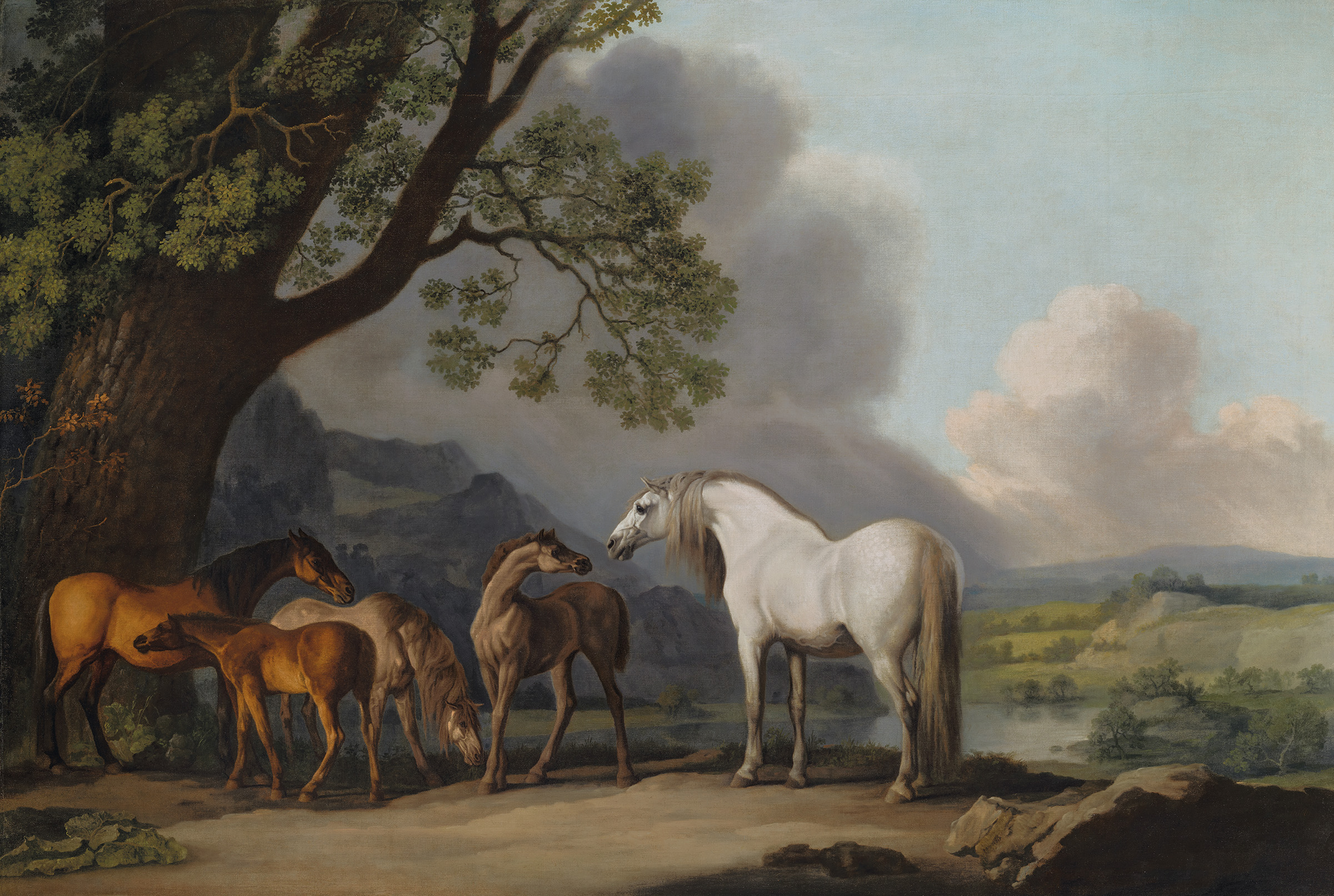 George Stubbs, Mares and Foals in an extensive landscape, 1769, offered in Old Masters Part I on 2 July 2024 at Christie's in London