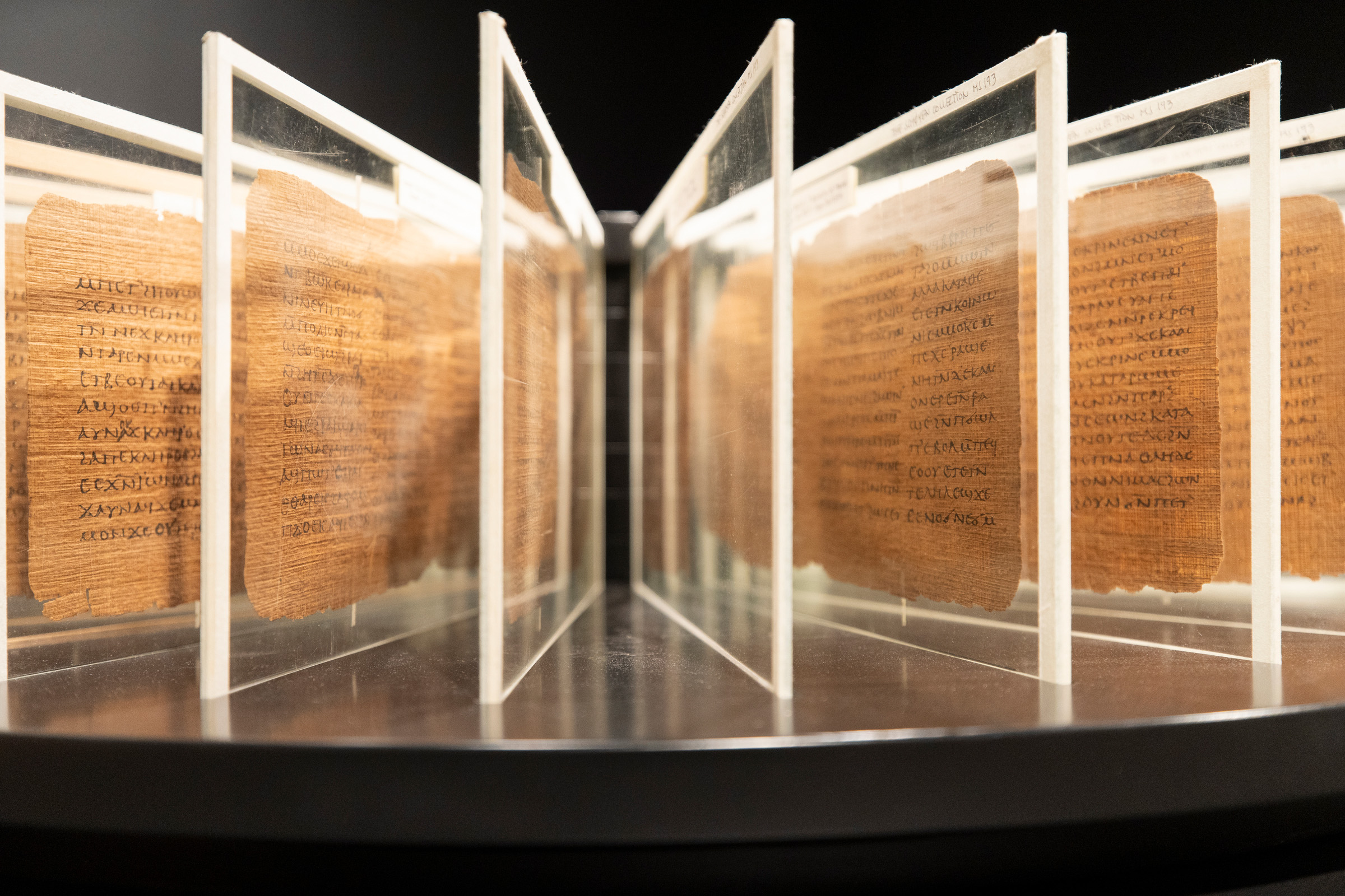 The oldest known book in private hands and among the earliest in existence, the Codex bears a family resemblance to its distant bibliographic descendants - from illuminated gospels and psalters to mass-produced paperbacks