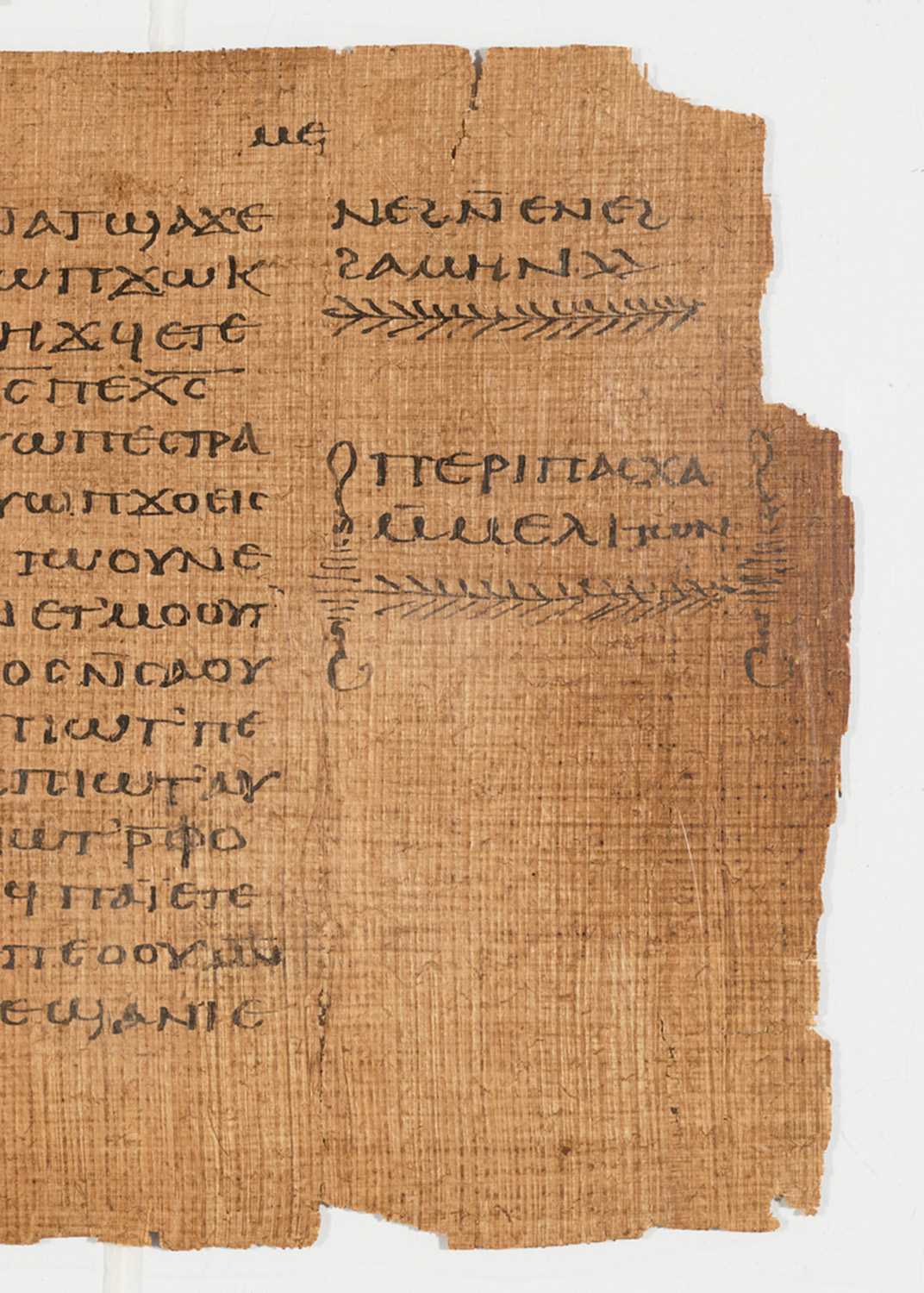 The Crosby-Schoyen Codex: the oldest known book in private hands ...