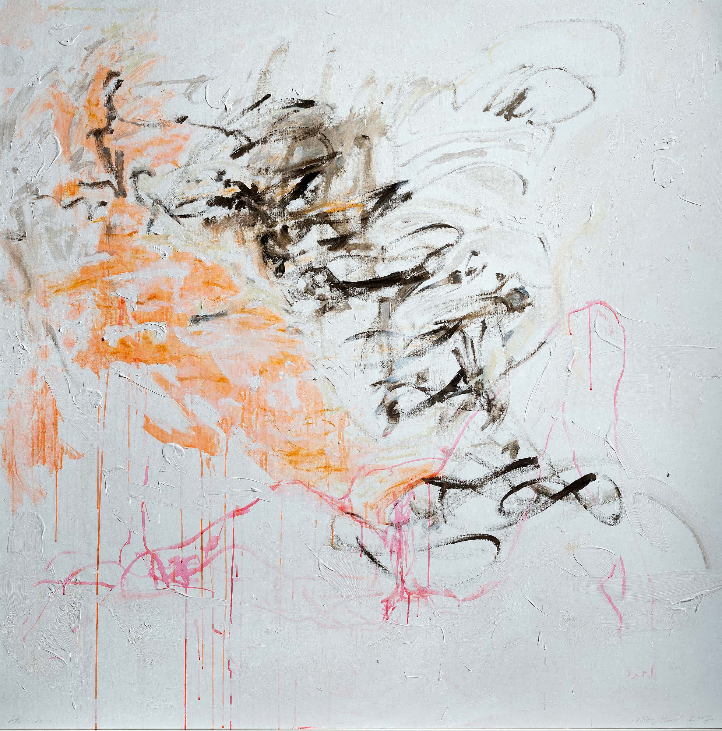 Tracey Emin, Hurricane, 2007