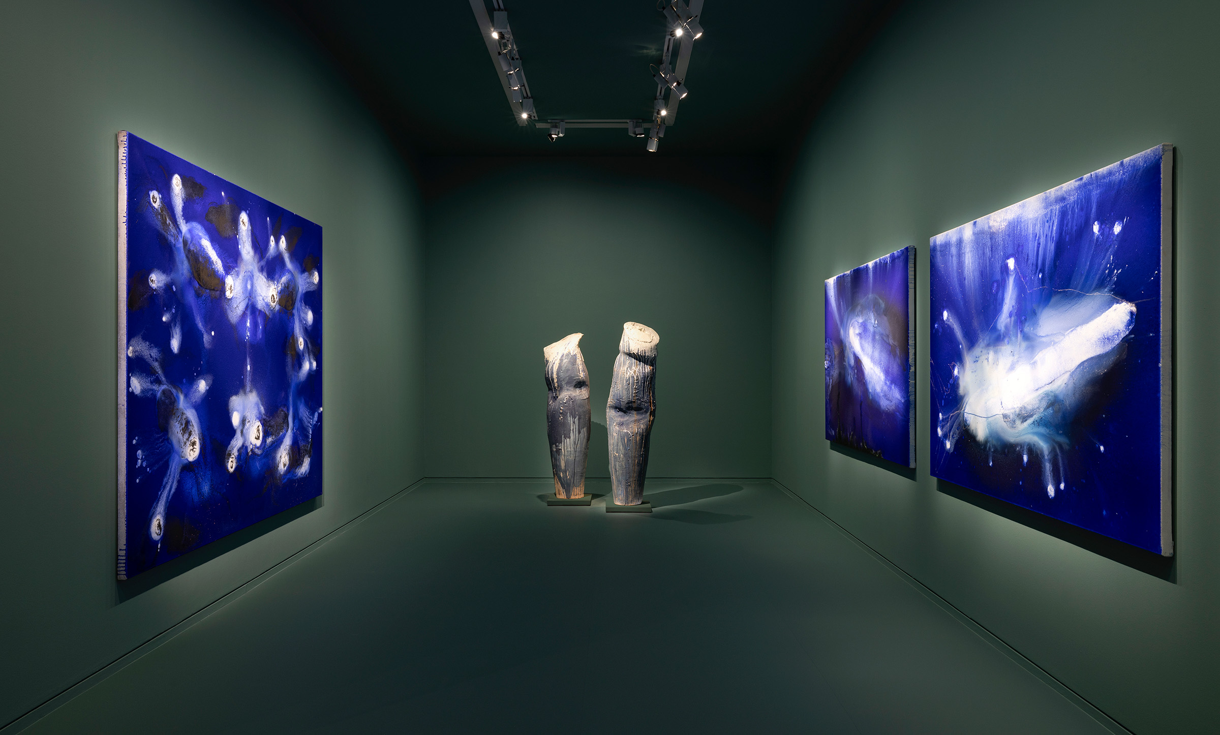 Installation view of Miquel Barcelo, Oceanographer at the Nouveau Musee National de Monaco - Villa Paloma