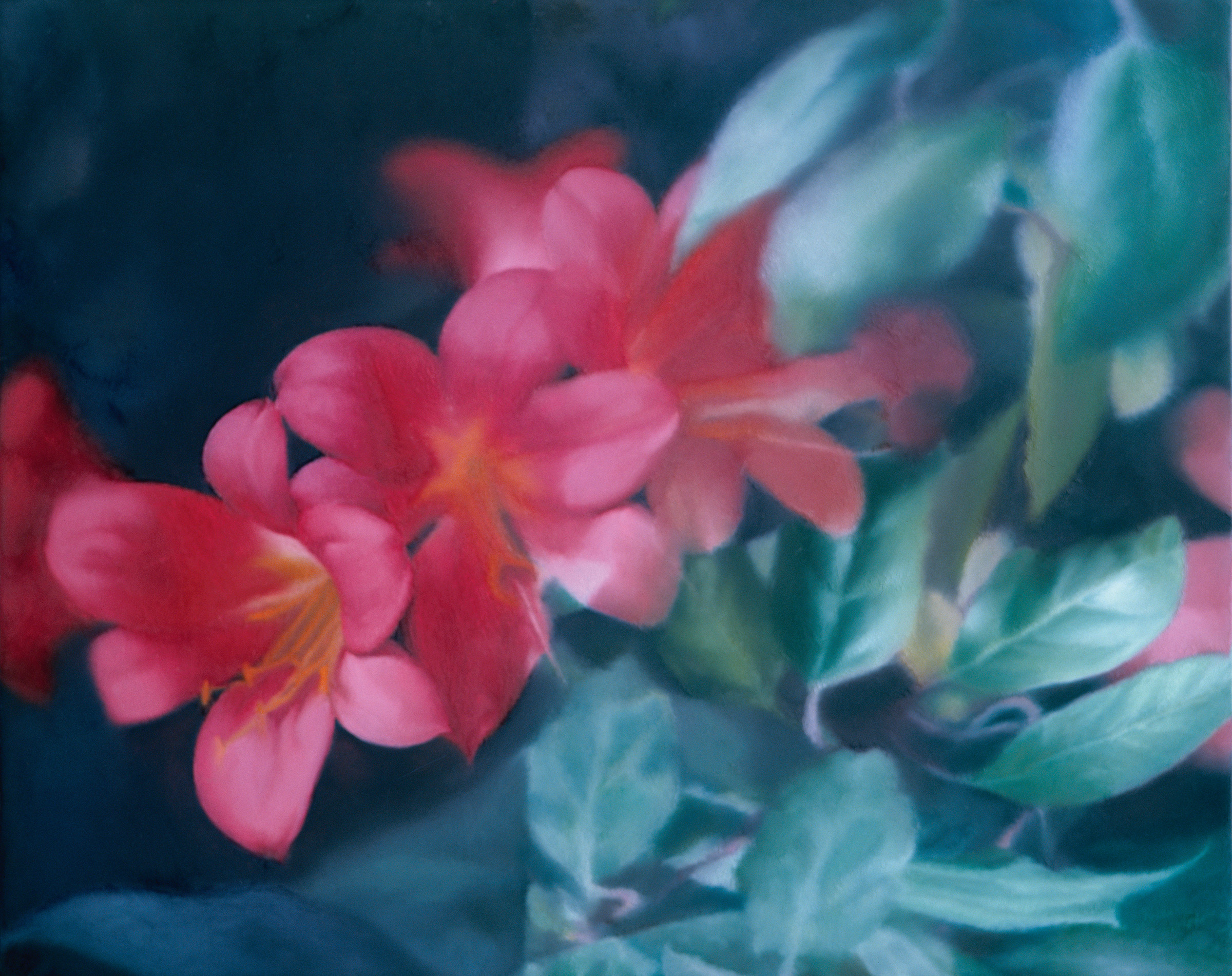Gerhard Richter, Blumen (Flowers), 1977, on show in Gerhard Richter: Hidden Gems. Works from Rhenish Private Collections