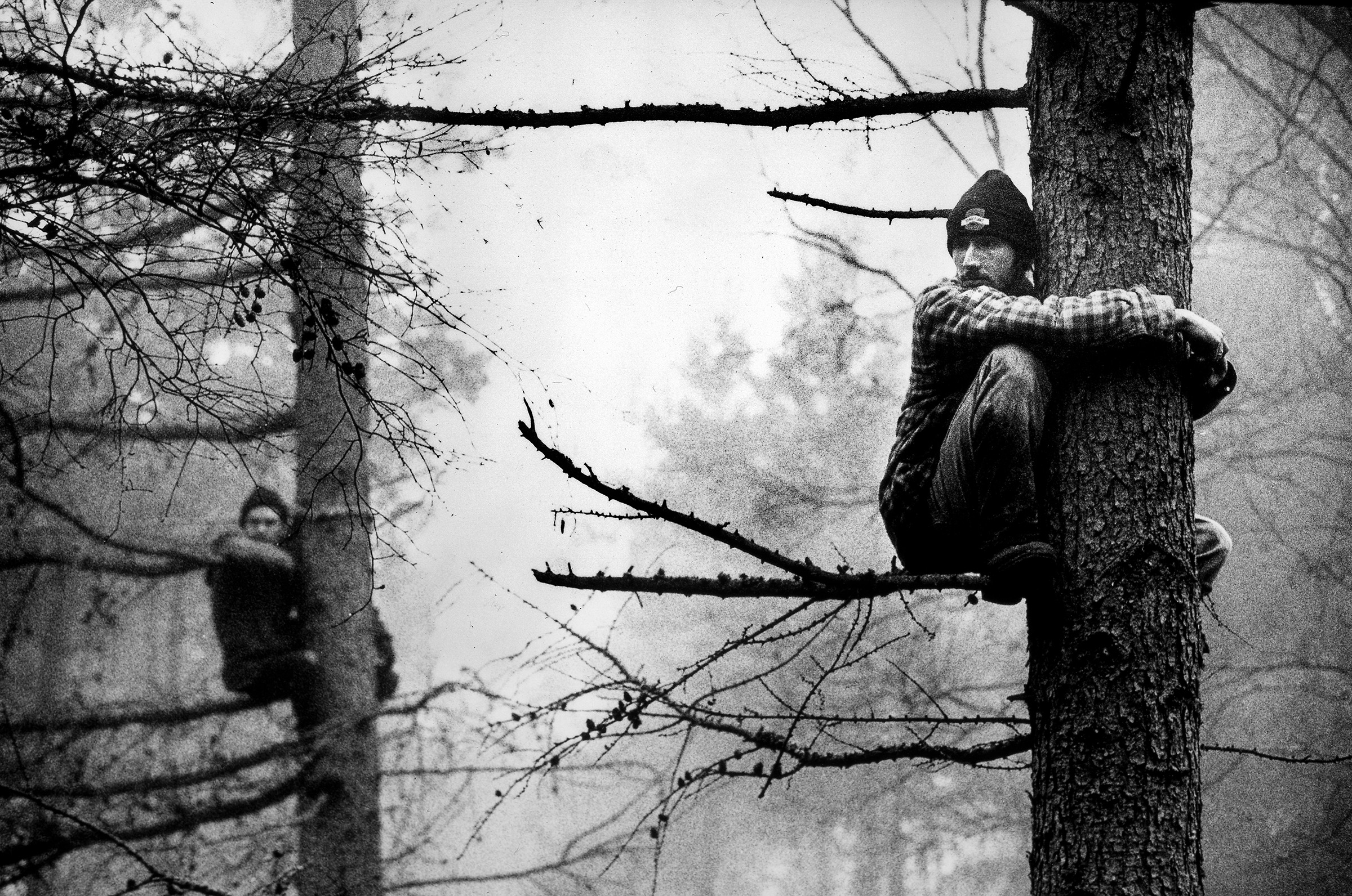 Andrew Testa, Newbury Bypass, 1996. Early morning on the route of the Bypass, protesters occupy trees after identifying which area the police, bailiffs, and tree surgeons were targeting that day. From Resistance at Turner Contemporary, Margate
