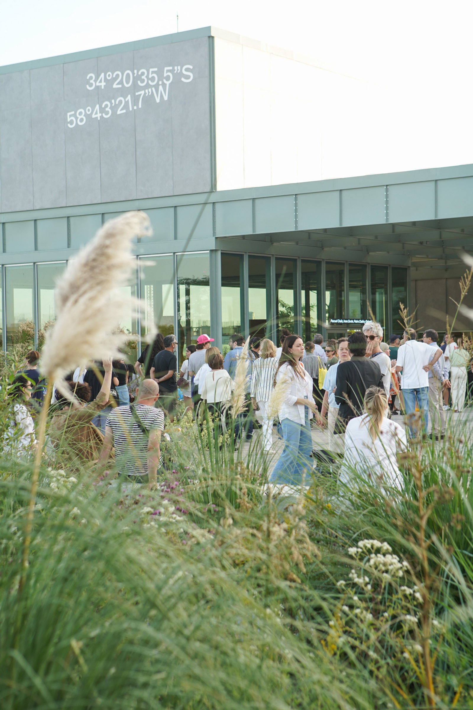 A group of people gathers outside a modern building, viewed beyond tall grasses.