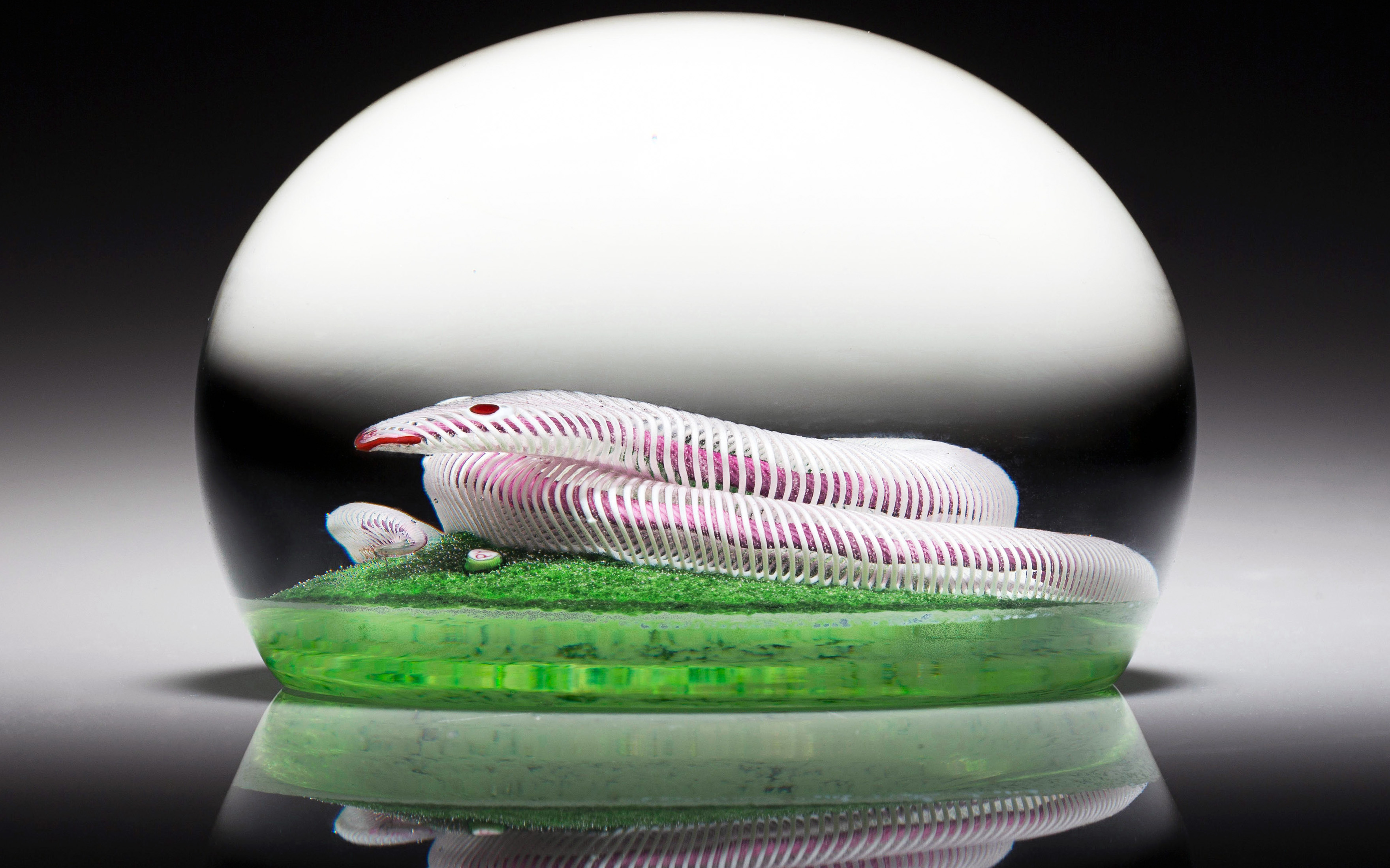 Paul Ysart. A snake paperweight, early-20th century, sold for $875 on 20 April 2016 at Christie's Online