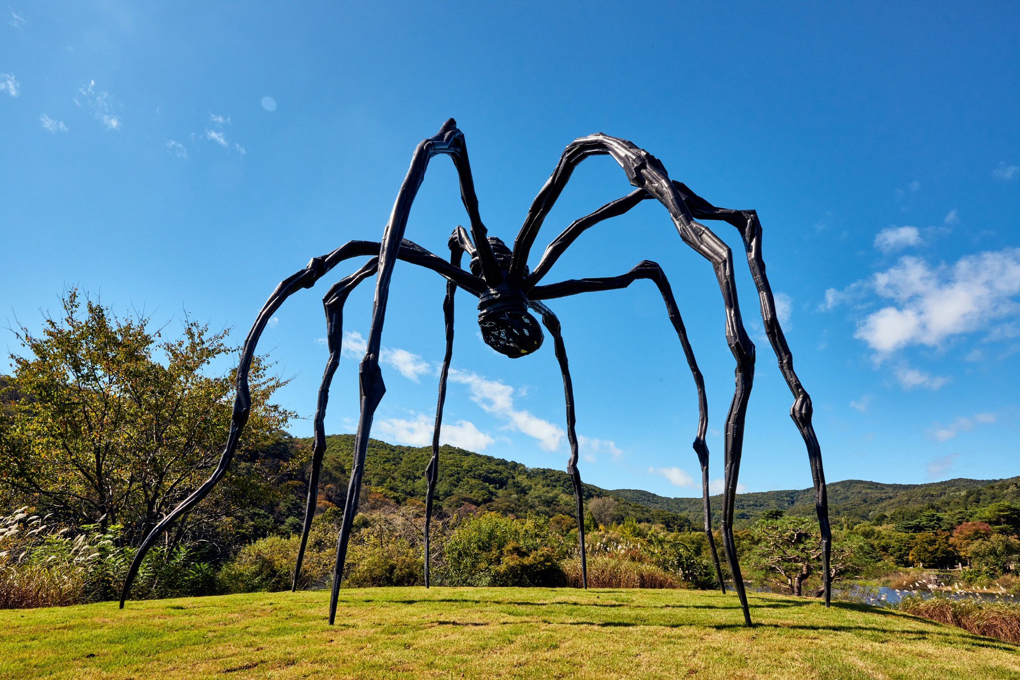 Louise Bourgeois, Maman, 1999, installed in the garden of Hoam Art Museum, Yongin, South Korea