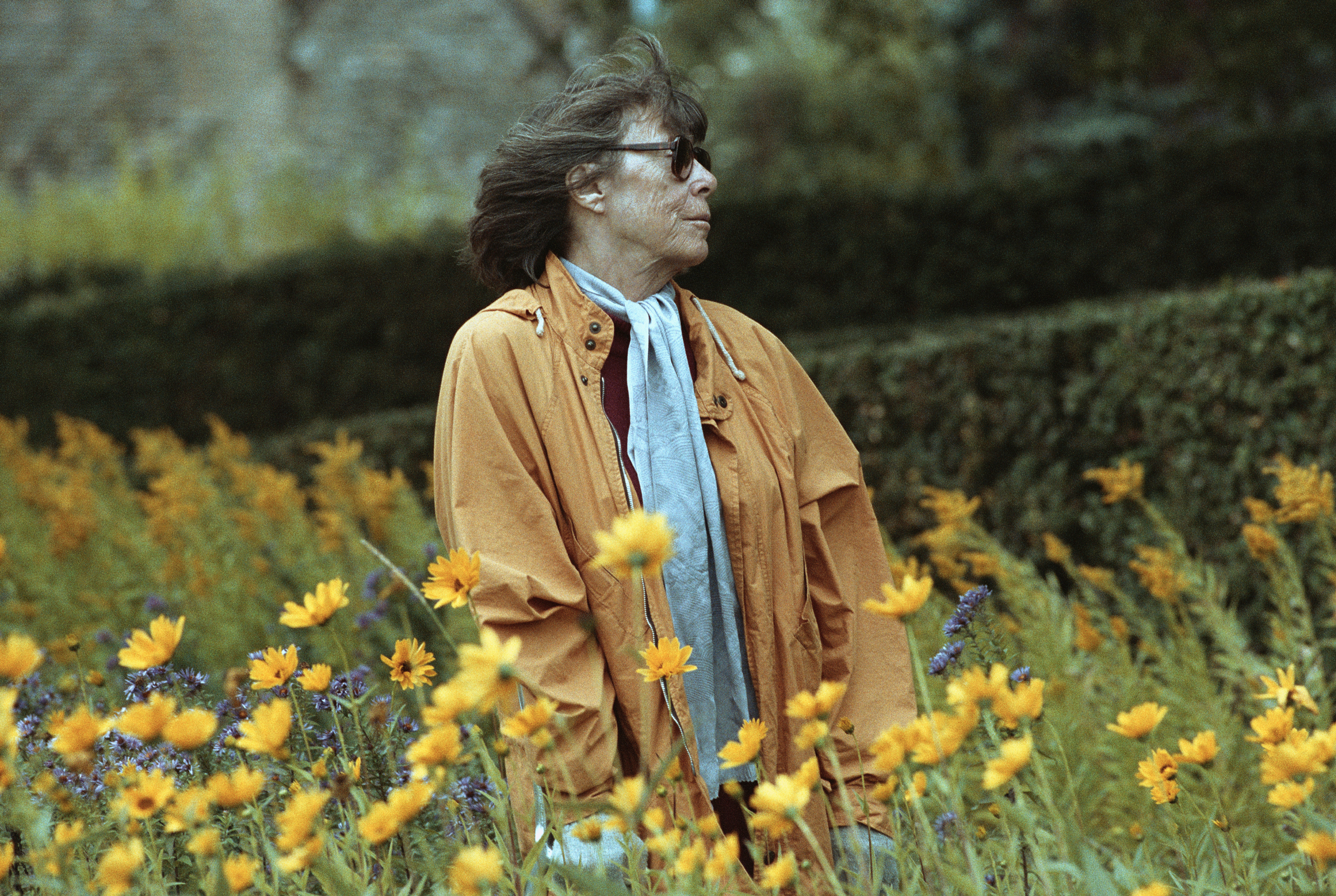 joan mitchell field of flowers