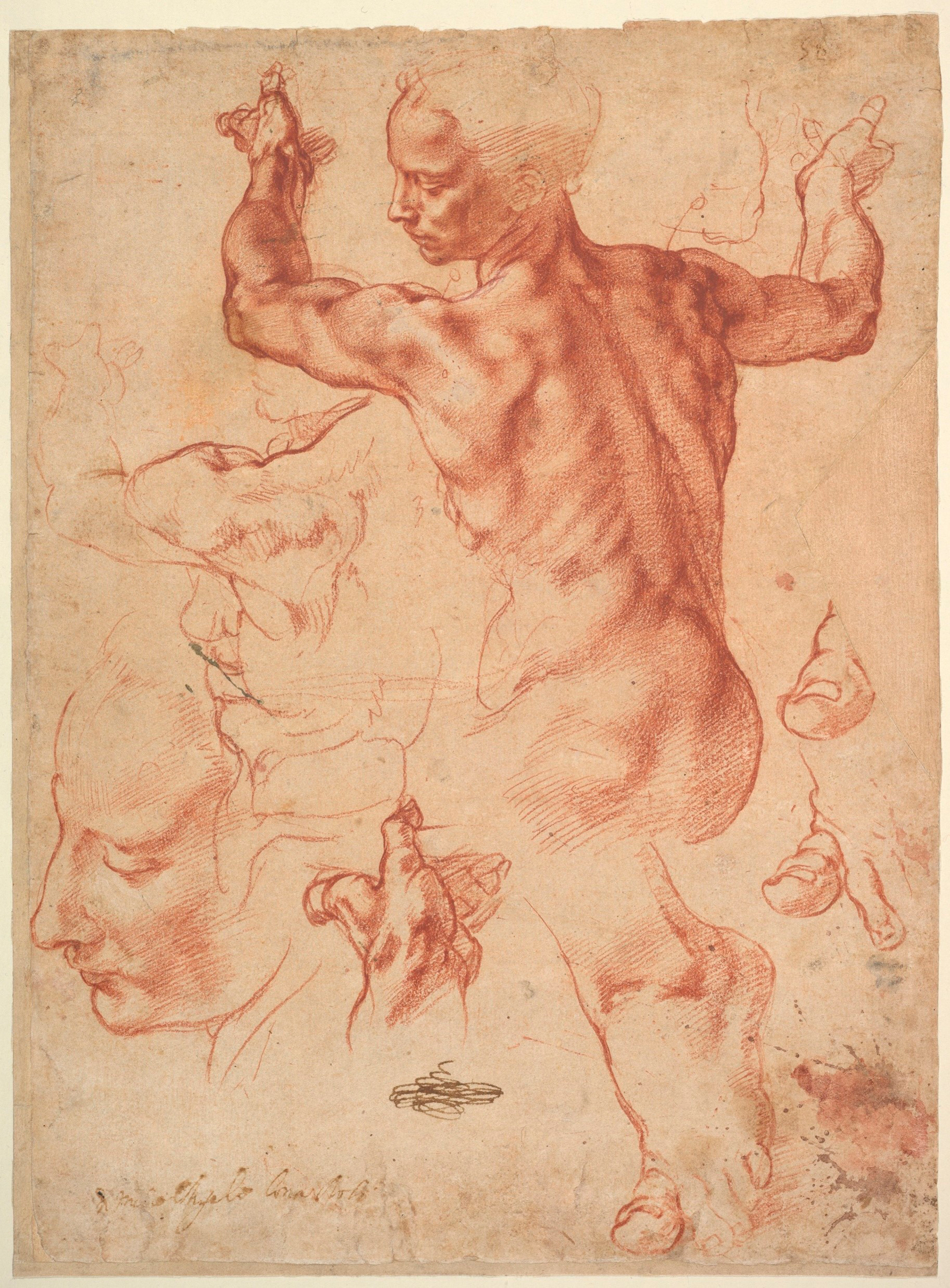 This is a red chalk sketch showing a muscular male back, arms raised, with additional detailed studies of hands and a peaceful profile.