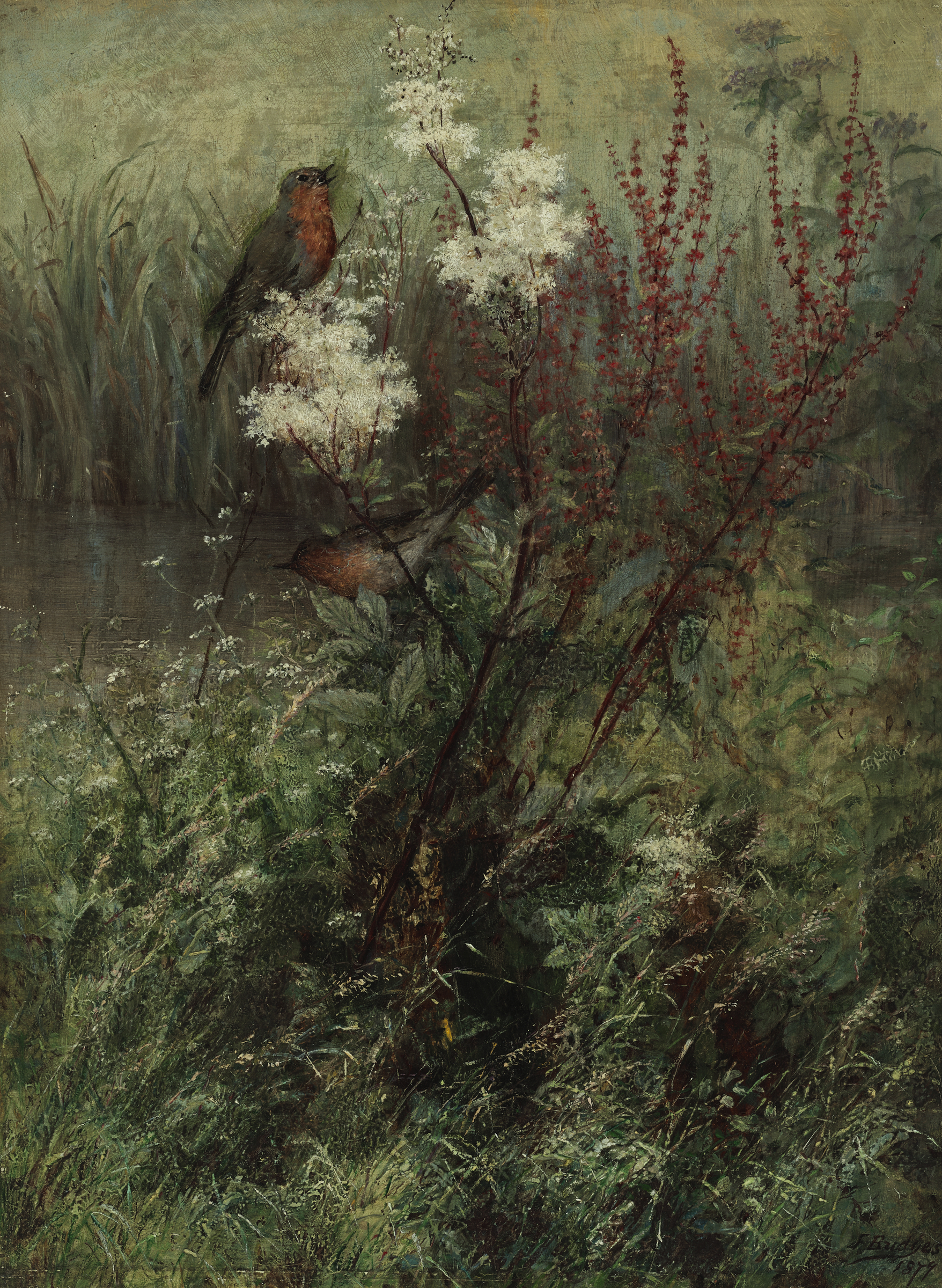 Two birds perch among wildflowers and tall grass in a lush, natural setting.