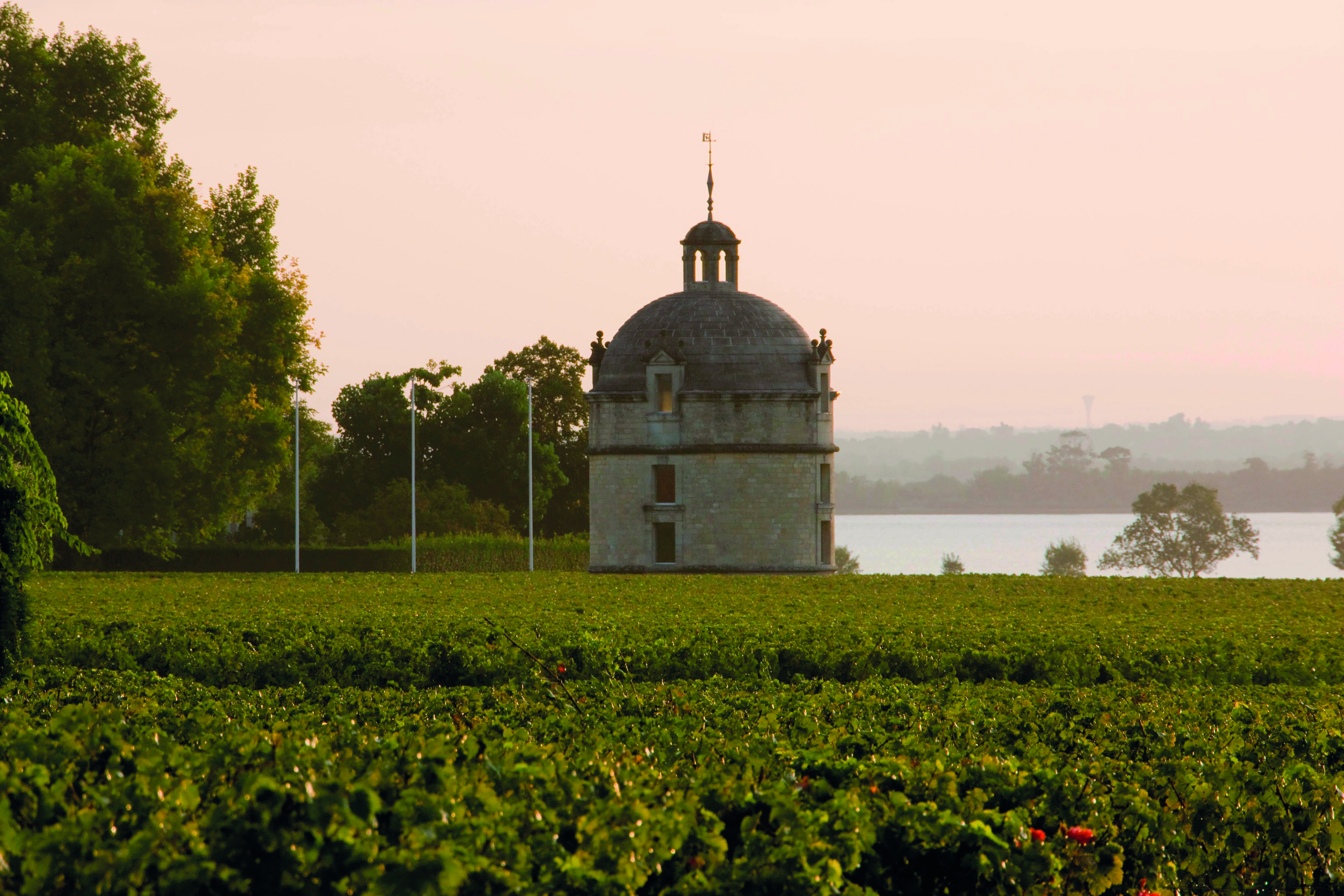 The Historic Cellar of Jürgen Schwarz