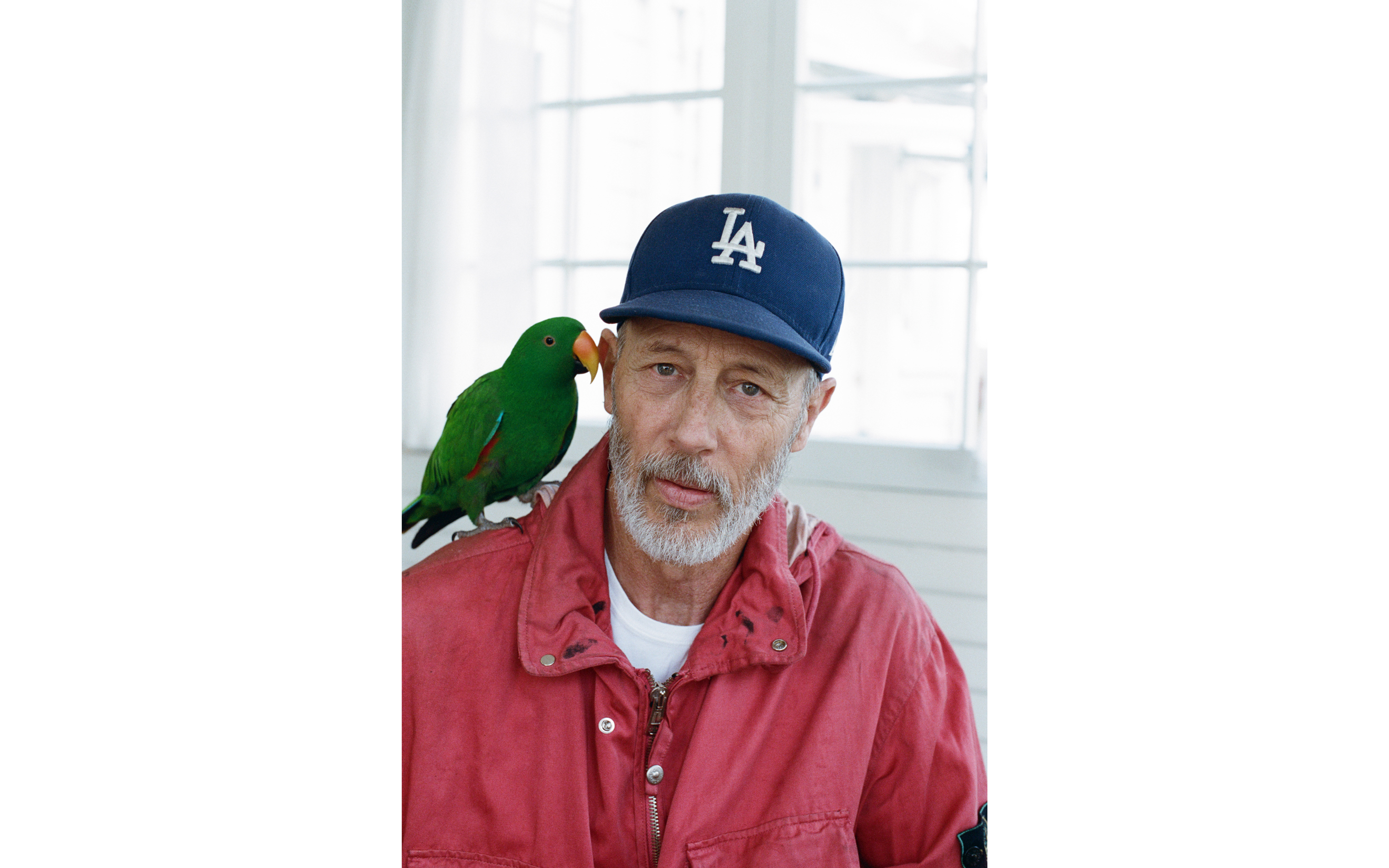 A person wearing a red jacket and blue LA cap has a green parrot perched on their shoulder.