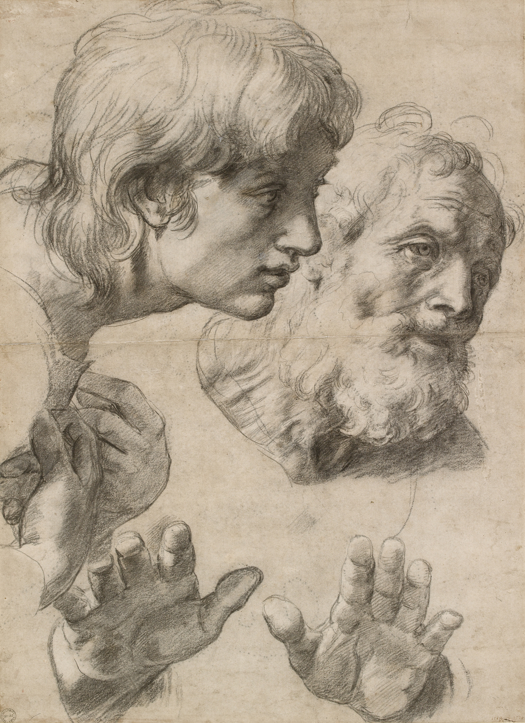 The image shows detailed sketches of hands in different positions and hair on a textured background.
