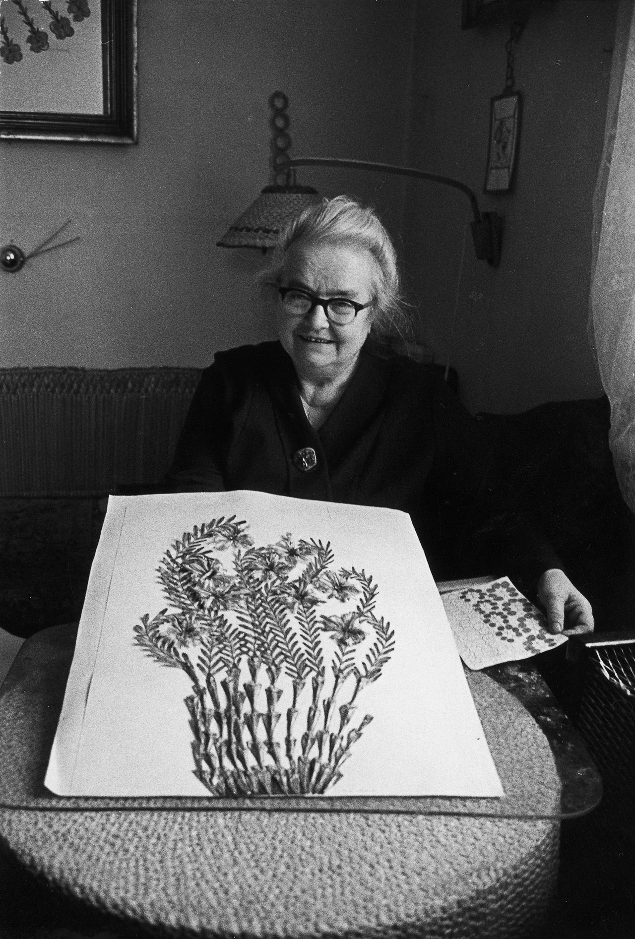 An elderly person sits indoors displaying a detailed botanical drawing on a table.