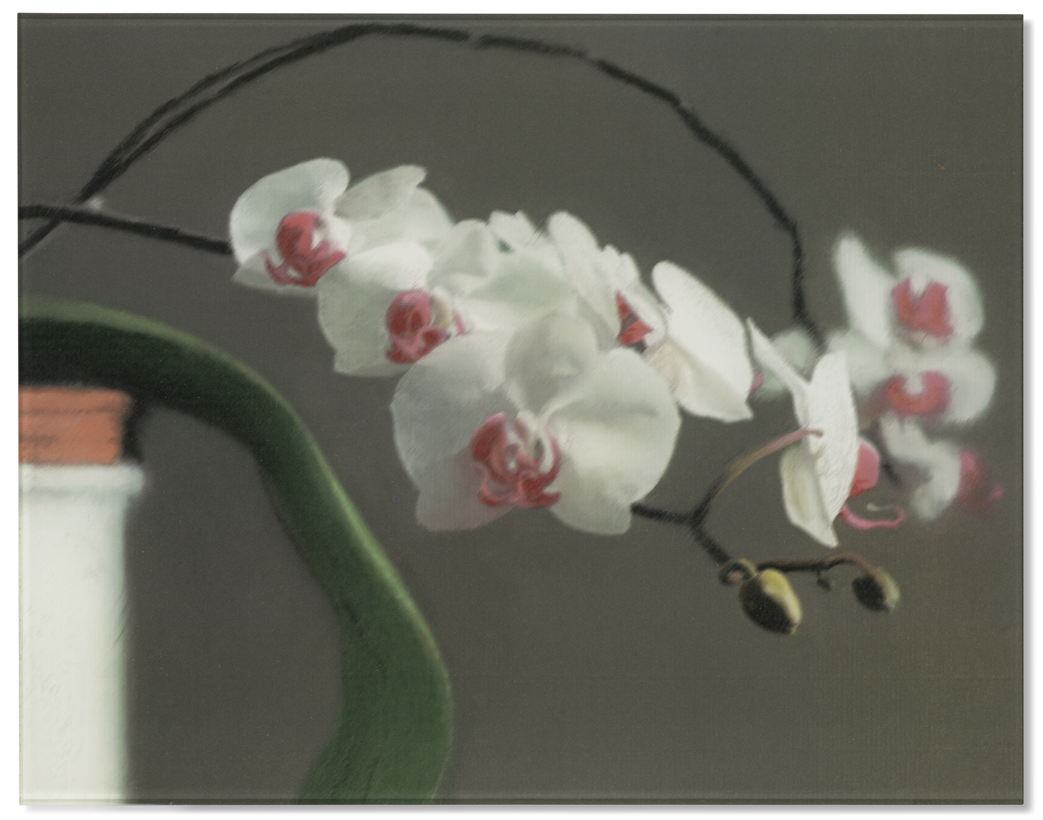 A close-up of white orchids with pink centers against a soft, neutral background.