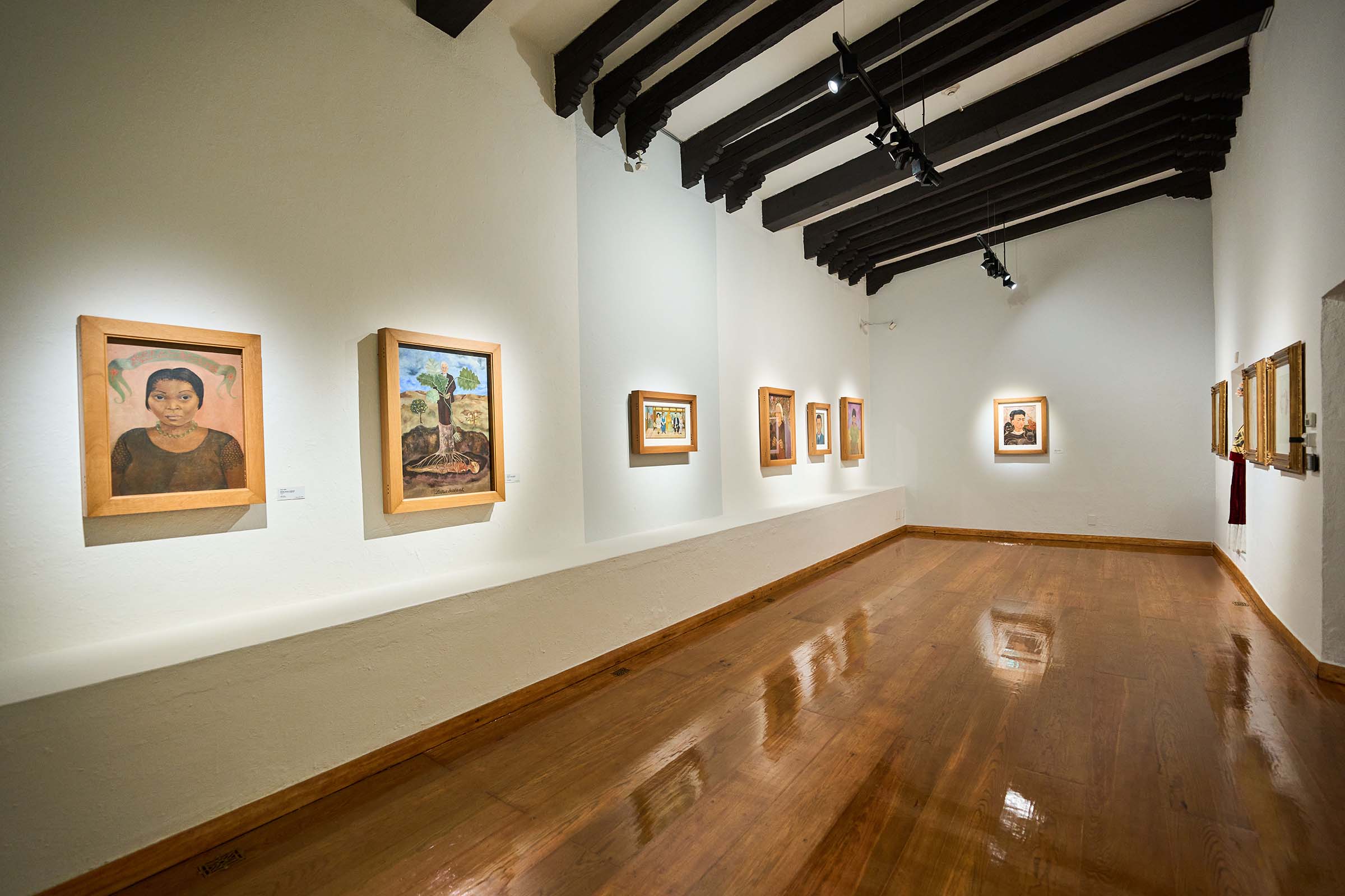 A gallery at the Dolores Olmedo Museum featuring works by Frida Kahlo, including 1931 portraits of Eva Frederick and Luther Burbank, and, at the far end, Self-Portrait with Small Monkey, 1945