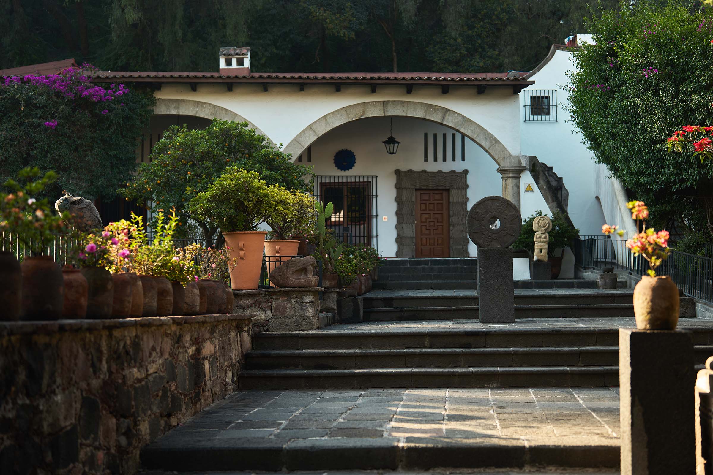 The orange tree courtyard at the Dolores Olmedo Museum in Mexico City