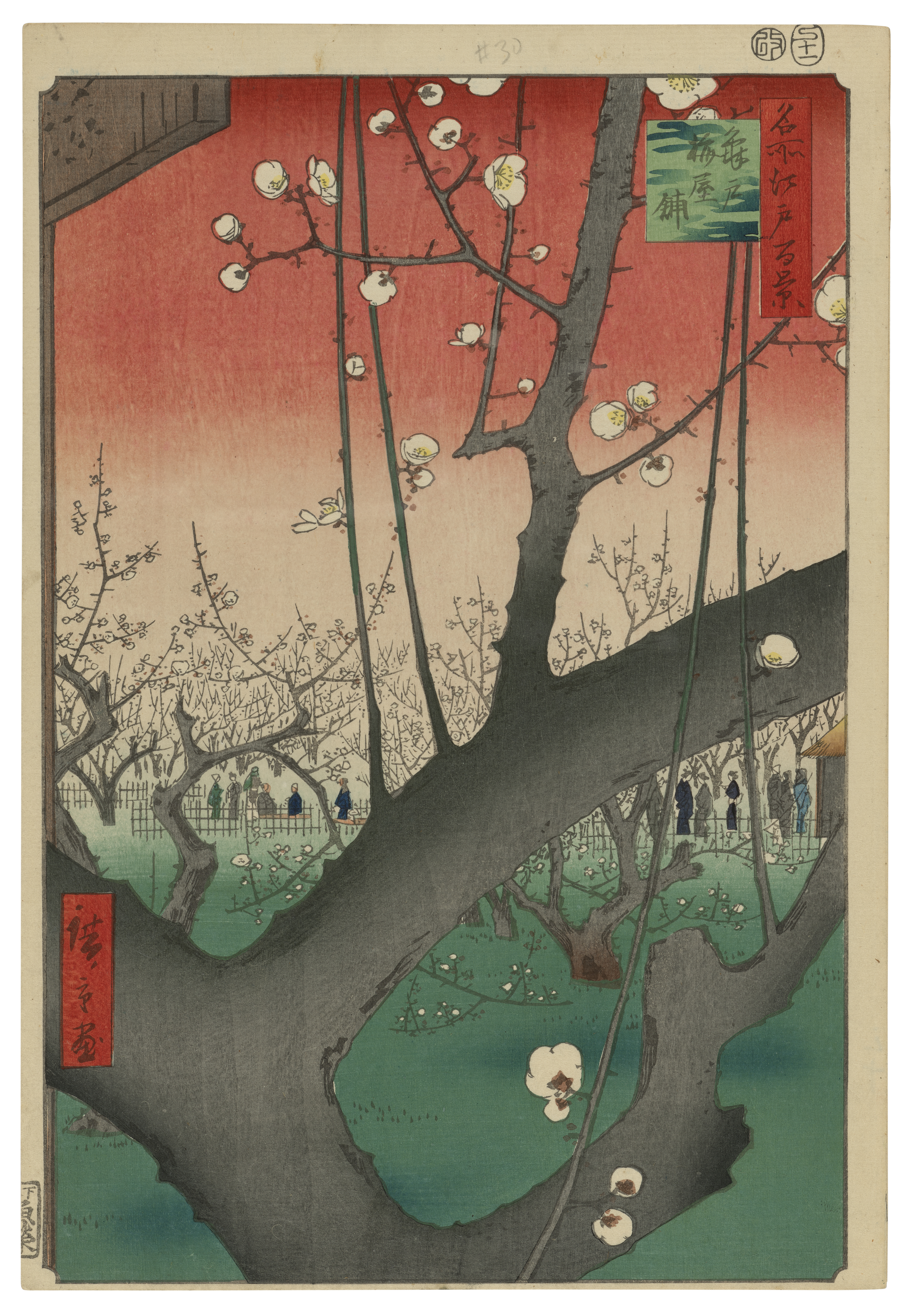A blossoming plum tree with people walking in the background against a red sky.