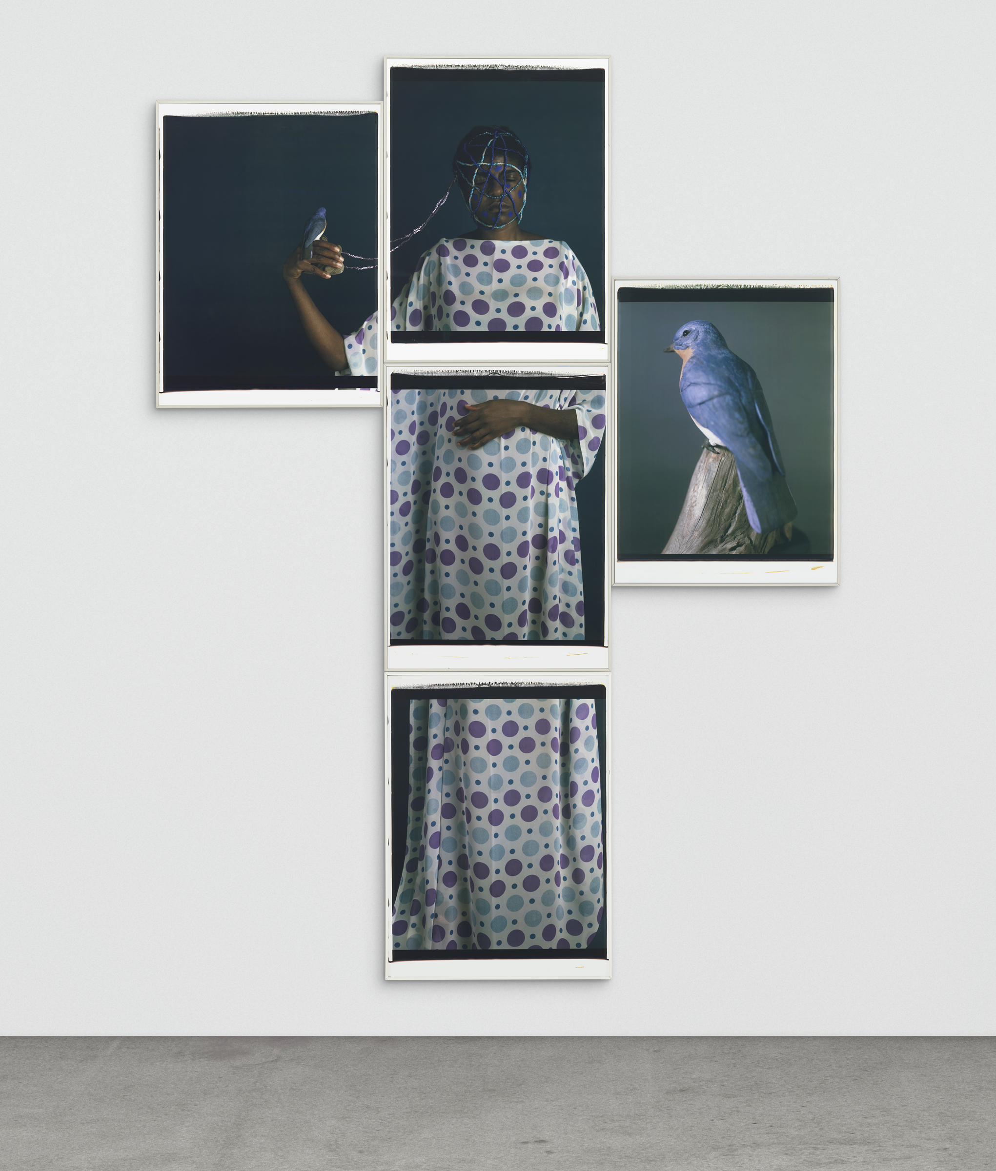 A collage of five photographs shows a person in a polka-dot dress and a blue bird.