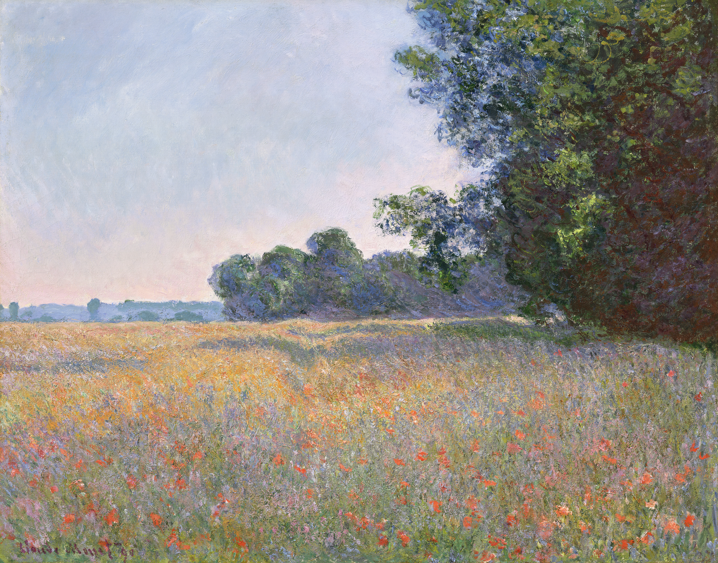 A sunlit field with wildflowers and tall trees under a clear blue sky.