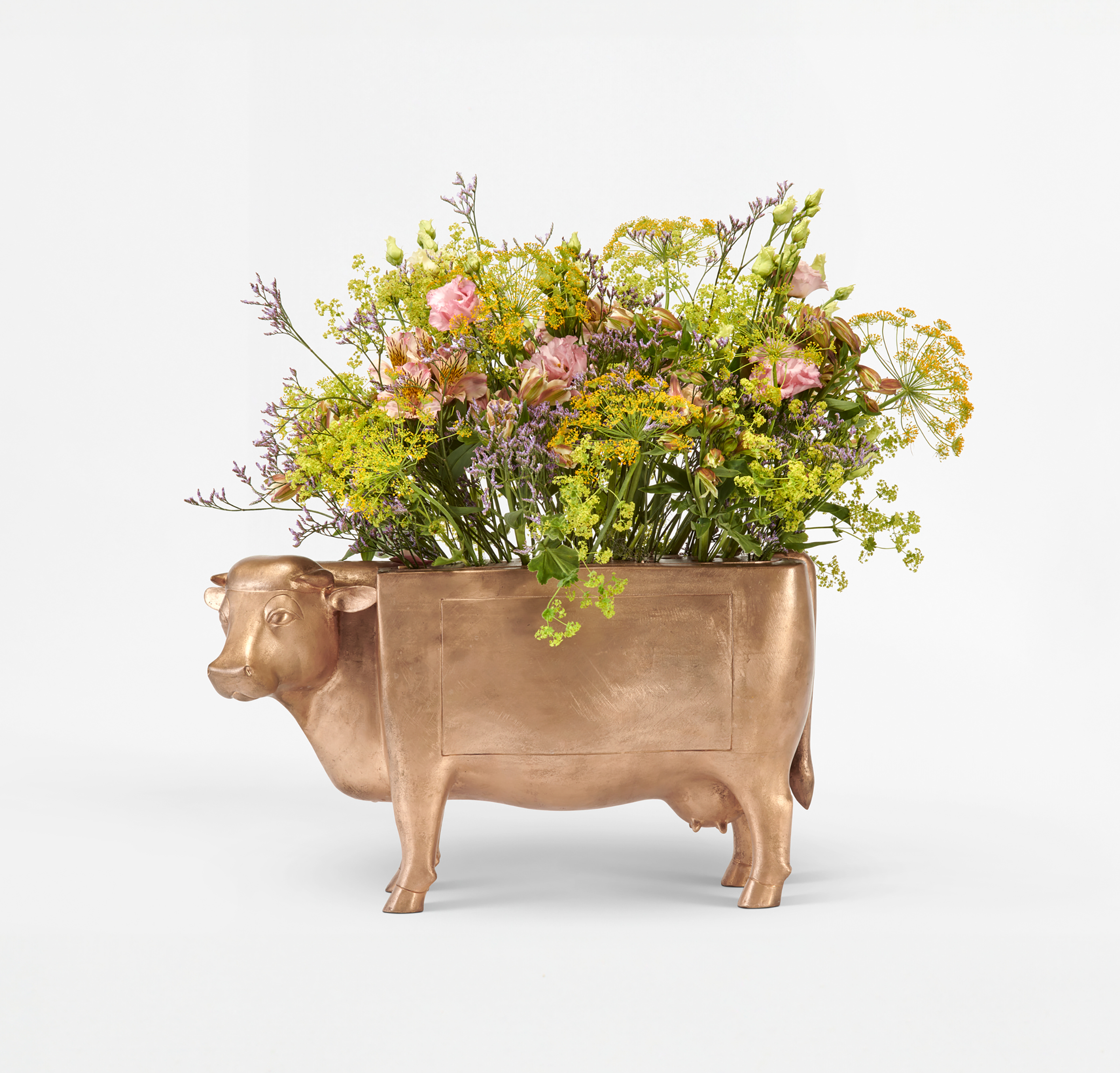 lalanne collecting guide