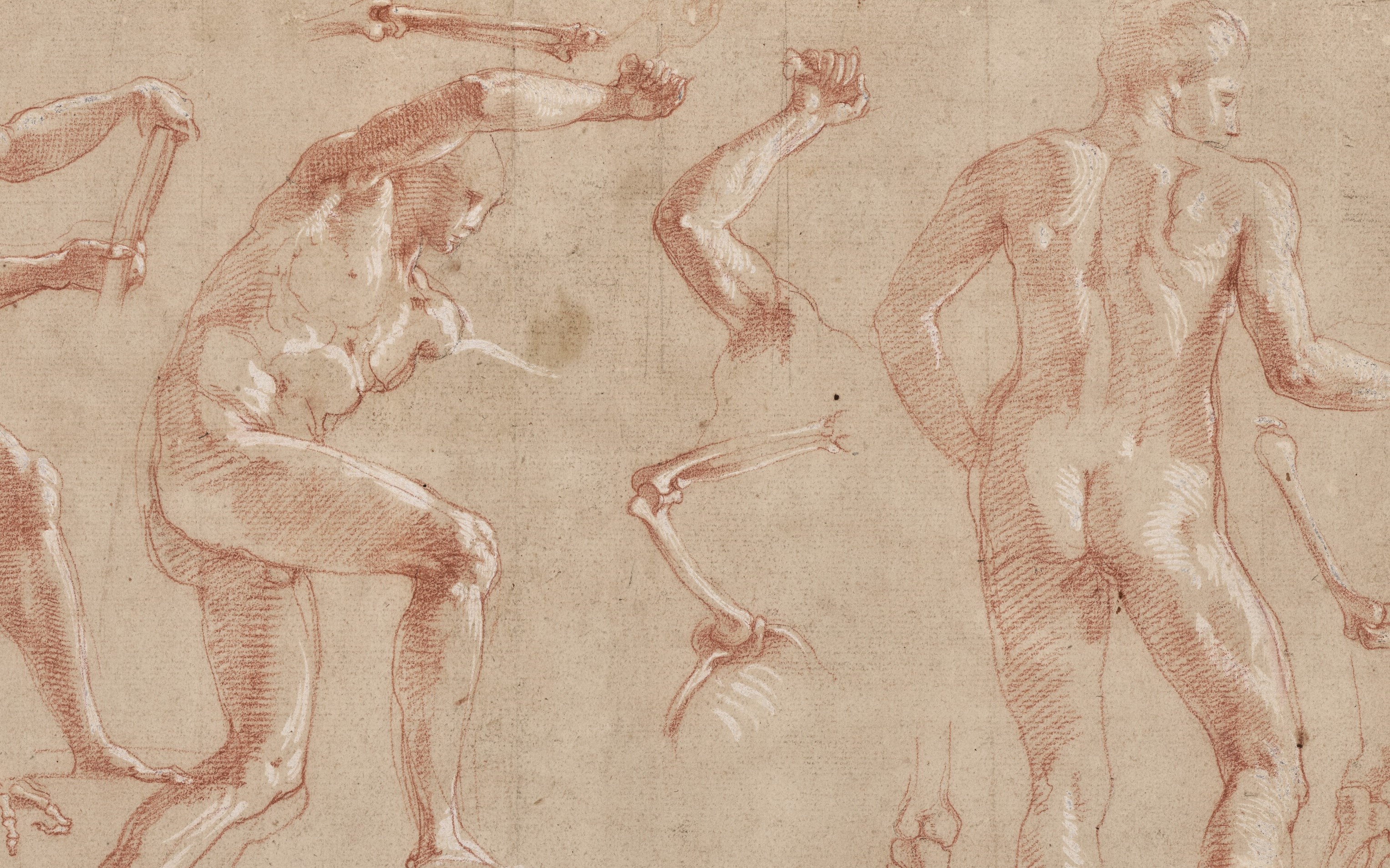 An old, faded sketch depicting multiple dynamic figures of men in various action poses, drawn with precision using red chalk.