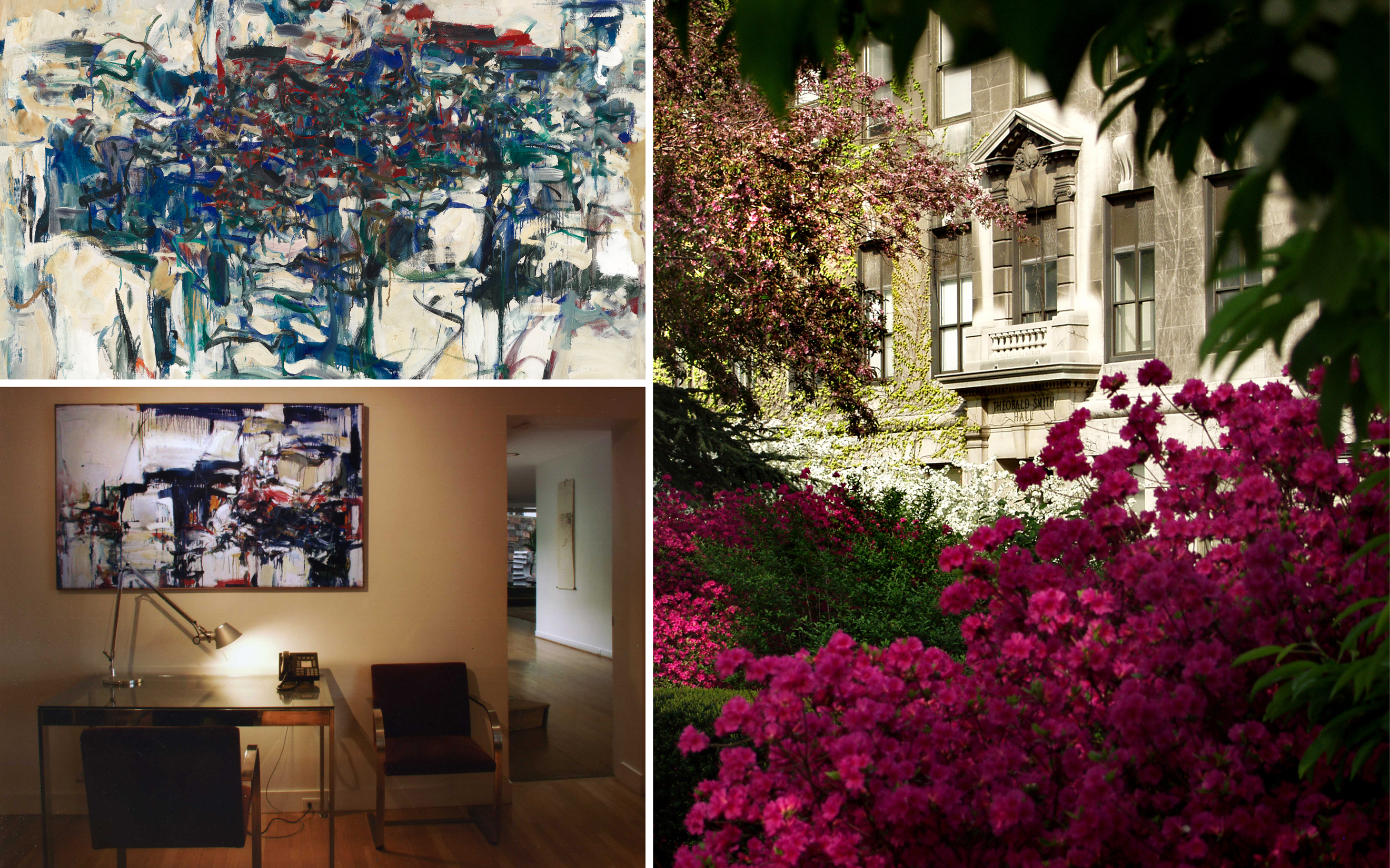 The Rockefeller University's Joan Mitchell paintings
