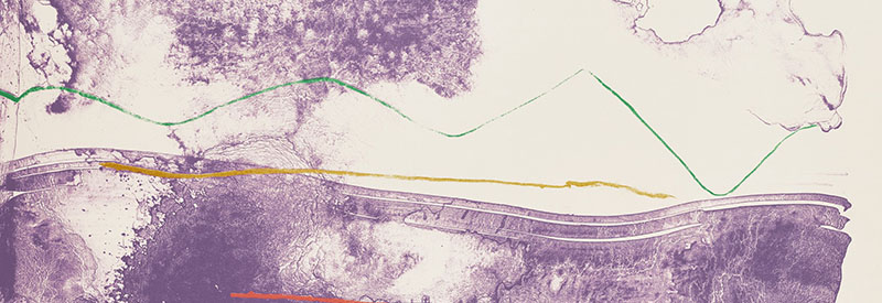 essay banner