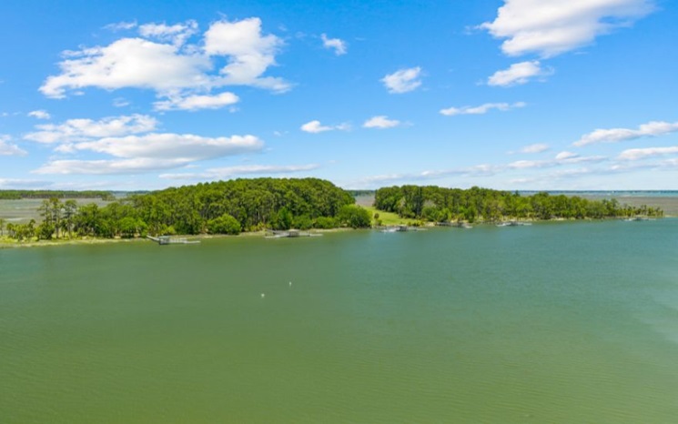 A calm lake with green trees on the shore under a bright blue sky with scattered clouds.