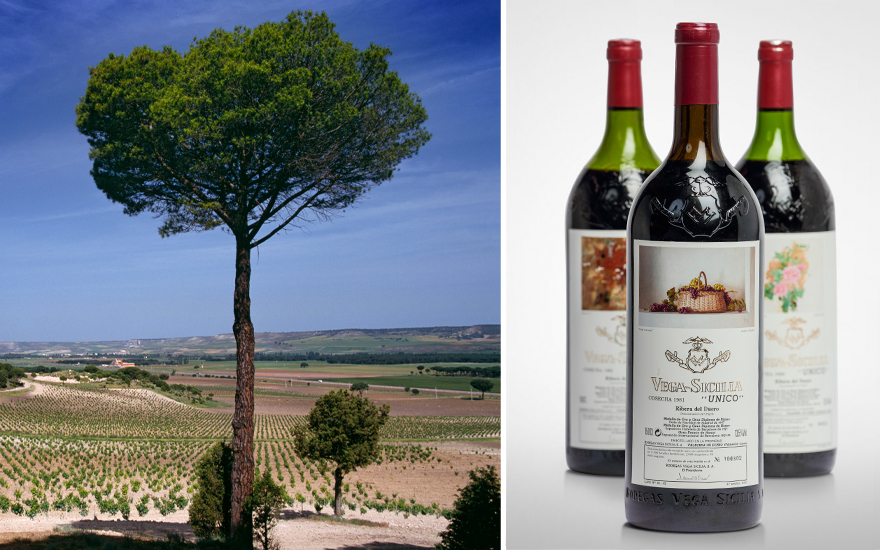 Numero uno — why these age-worthy Spanish wines are serious rivals to the best of Bordeaux