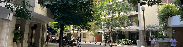 A quiet, tree-lined urban street with people walking and bikes parked along the sidewalk.