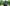 Private Sales Banner
