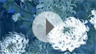 Video Seminar: Transition and  auction at Christies