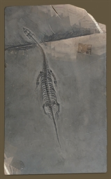 dinosaur fossil price