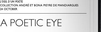 A Poetic Eye