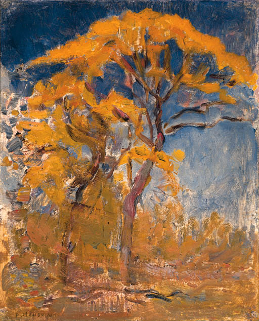 Two trees with orange foliage against blue sky 
