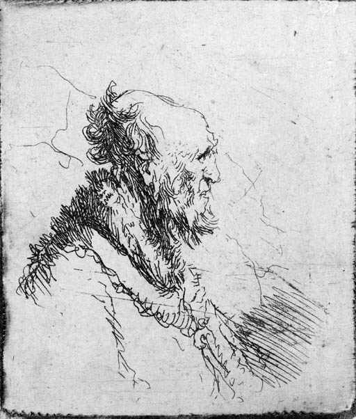 A bald old Man with a short Beard, in Profile Right (B., Holl. 306; H. 136)
