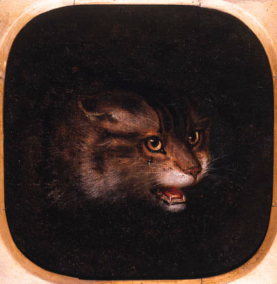 Head of a Wild Cat 
