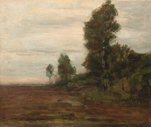 A landscape near Uden 
