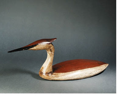 Grebe 
