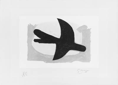 Oiseau bleu et jaune 
