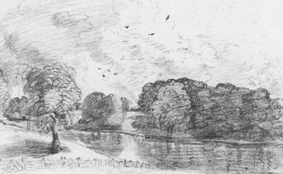 Wivenhoe Park, Essex 
