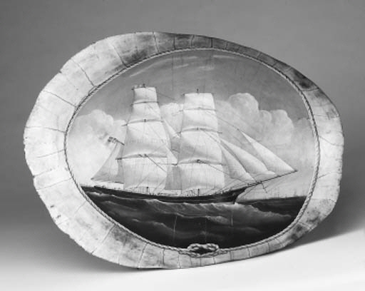 A painted turtle shell