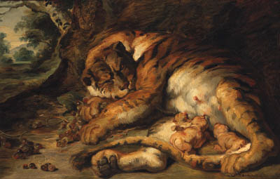 Tiger with Cubs 
