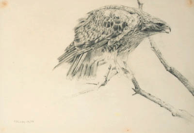 MCLEAN (B.1939), canadian