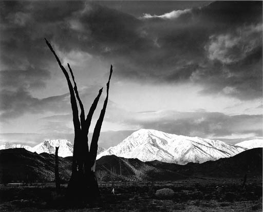 Sunrise, Mount Tom, Sierra Nevada, California (c.1948) 
