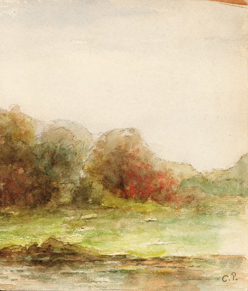 Landscape 
