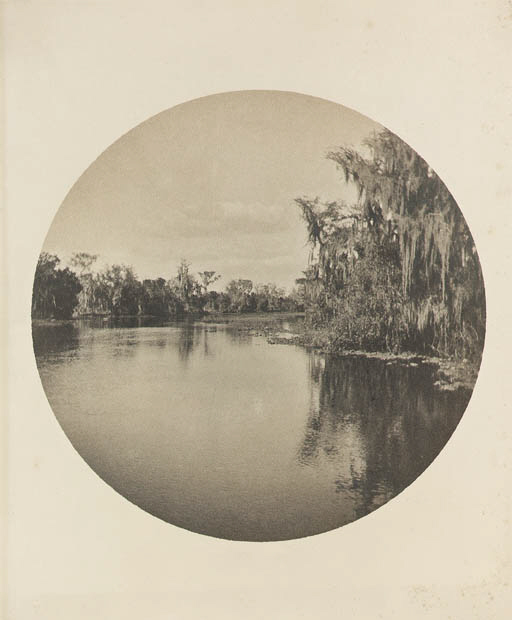 River scene, Florida, probably the Homosassa River
