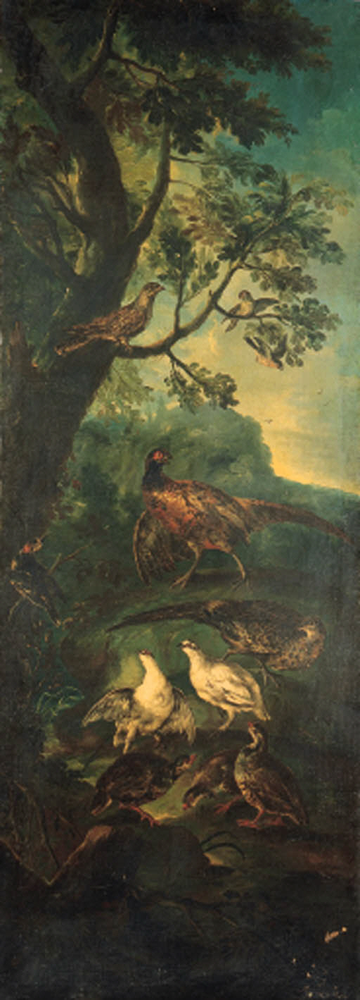 Giovanni Crivelli, il Crivellino (prima meta' del secolo XVIII 1760)