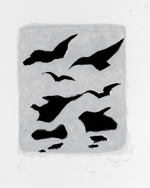 Oiseaux 
