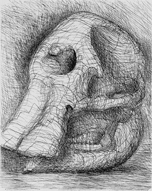 Elephant Skull Album 
